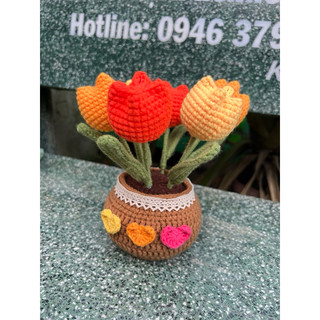 chậu hoa để bàn bằng len handmade