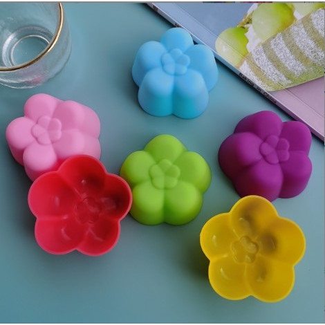 Combo 10 mẫu thạch rau câu 5 cm