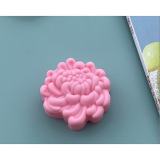 Combo 10 mẫu thạch rau câu 5 cm