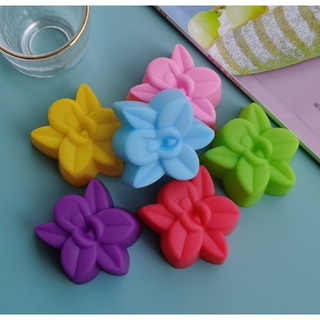 Combo 10 mẫu thạch rau câu 5 cm