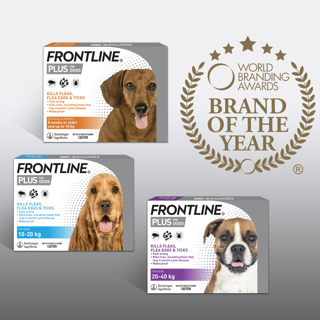 Frontline Plus - Tuýp nhỏ gáy phòng & trị ve, rận, bọ chét (trứng, ấu trùng, con trưởng thành) cho chó - 1 hộp 3 tuýp