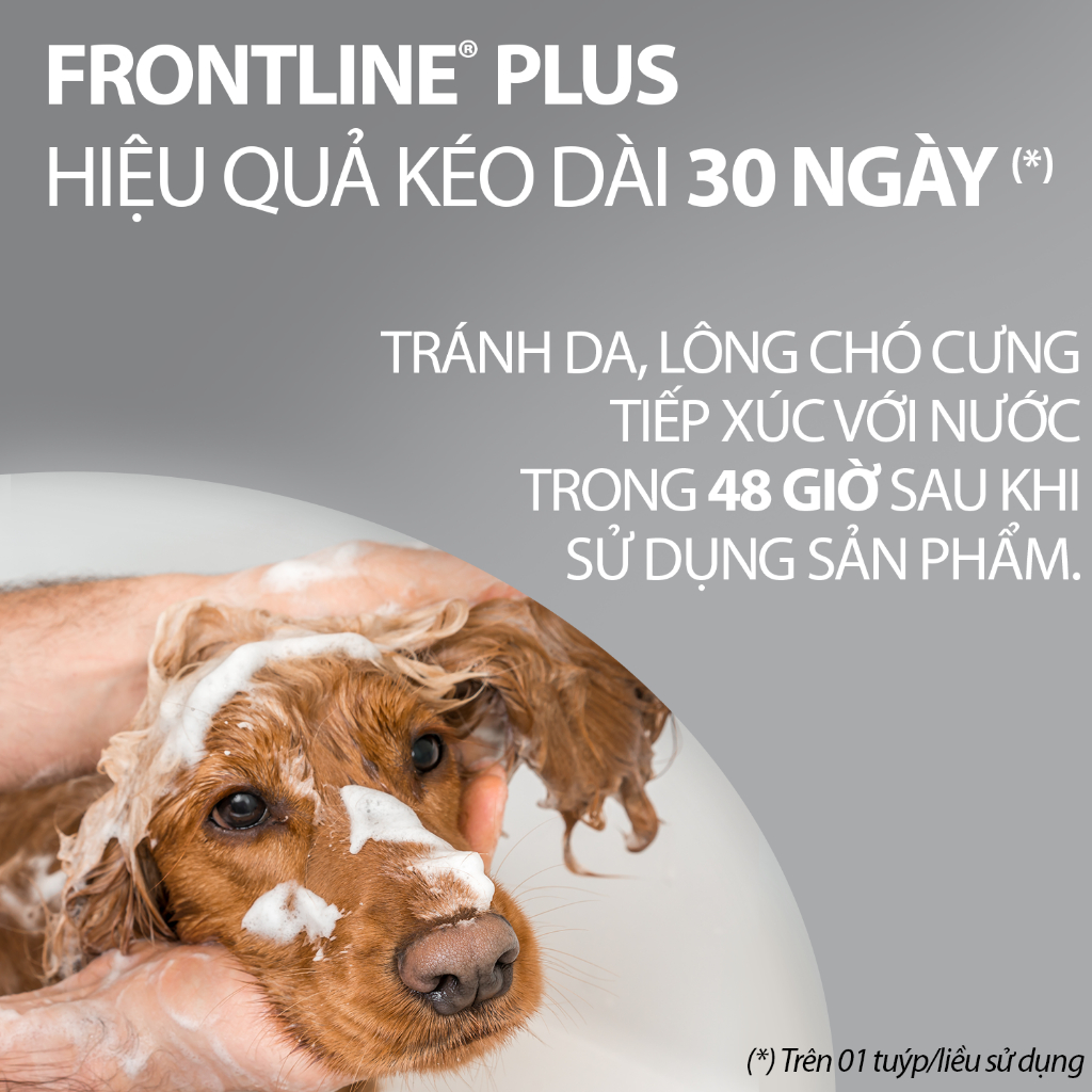 Frontline Plus - Tuýp nhỏ gáy phòng & trị ve, rận, bọ chét (trứng, ấu trùng, con trưởng thành) cho chó - 1 hộp 3 tuýp