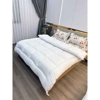 [Giá Rẻ] Ruột Chăn Bông Tấm Trắng Cao Cấp(2,5kg->3kg)