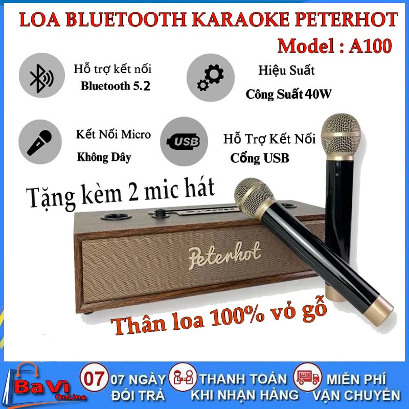 Loa bluetooth karaooke peterhot A100 tặng 2 micro, Loa karaoke gia đình công suất 40W, vỏ gỗ sang trọng, hát siêu hay