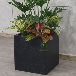 Chậu xi măng đá mài VUÔNG 40*40*40