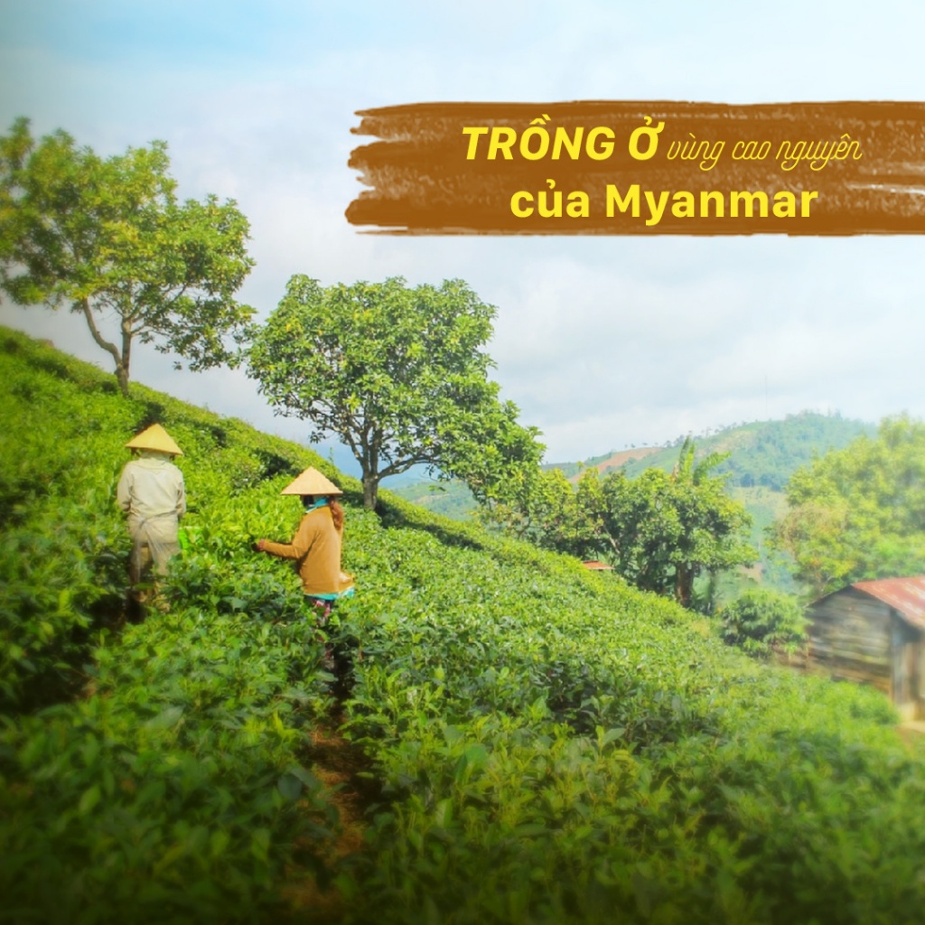 Trà Sữa Royal Myanmar teamix chính hãng túi lớn 30 gói