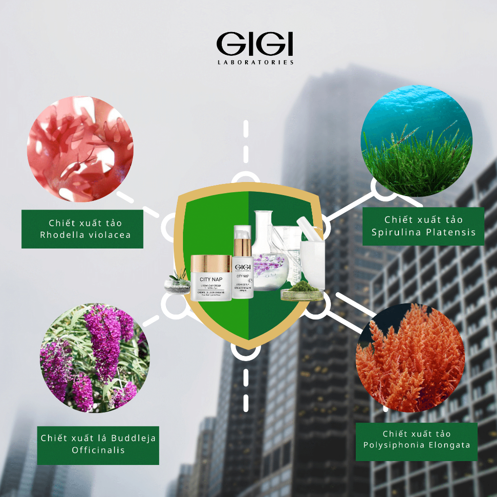 Kem dưỡng da ban đêm GIGI City Nap Urban Night Cream 50ml