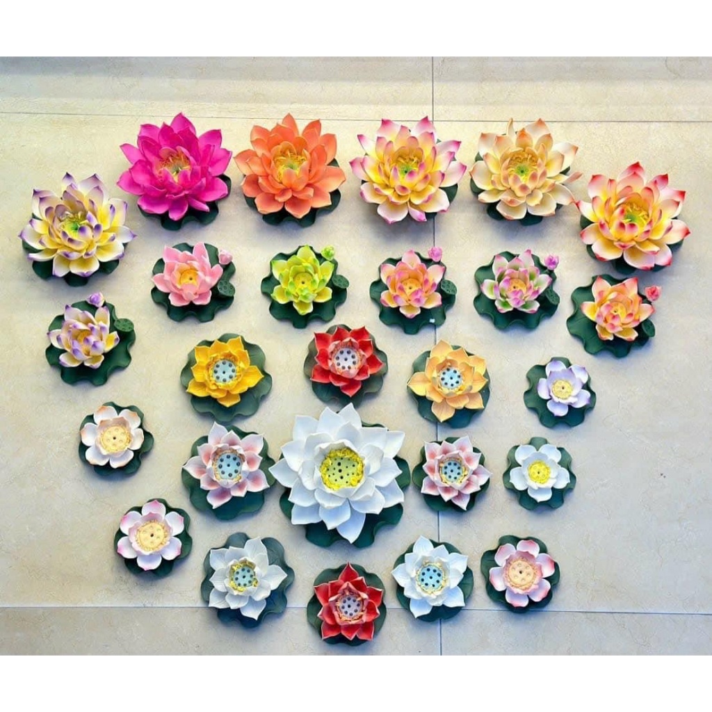 Hoa Sen Gỗ Khô trang trí