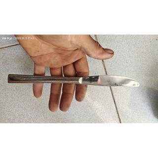 Dao bít tếch Nhật bãi bằng thép