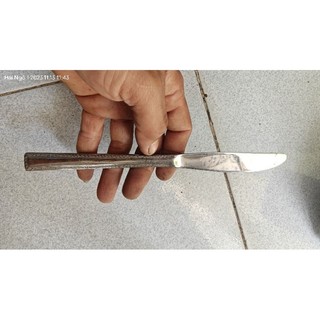 dao bít tếch Nhật bãi bằng thép