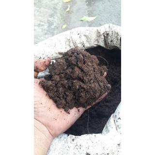 Phân bò ủ hoai với men vi sinh & nấm đối kháng trichoderma