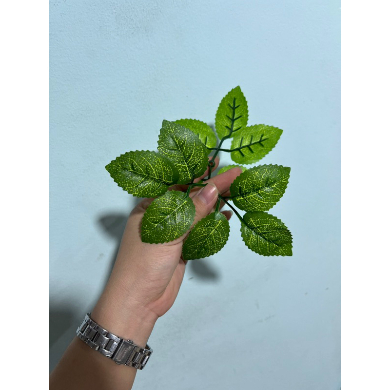 100gr LÁ HỒNG GÂN (60-70cặp lá)