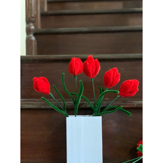 hoa tulip kẽm nhung