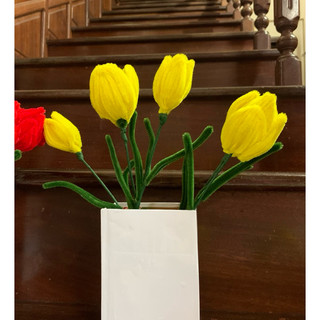 hoa tulip kẽm nhung