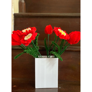 hoa tulip kẽm nhung
