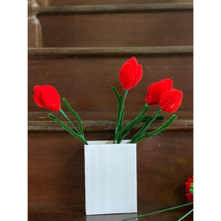 hoa tulip kẽm nhung