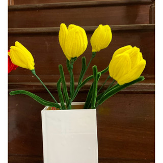 hoa tulip kẽm nhung