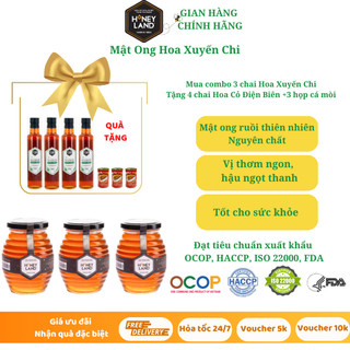 Combo 3 hũ mật ong rừng hoa Xuyến Chi 500g/chai tặng 4 chai mật ong hoa cỏ Điện Biên 380 g/chai Honeyland & 3 Hộp Cá Mòi