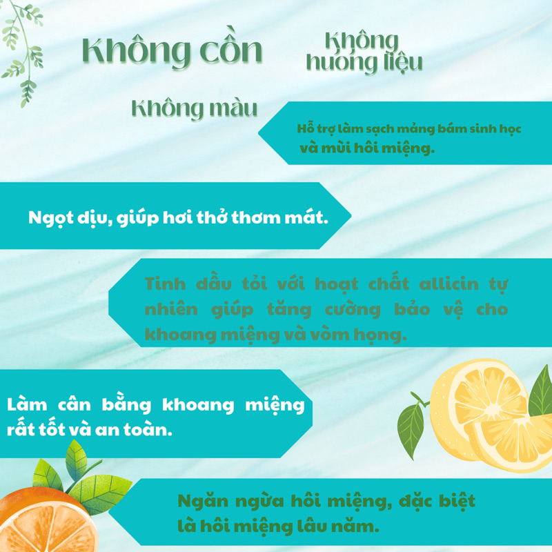 Nước Súc Miệng Phyto NPC Làm Sạch Răng Miệng Ngăn Ngừa Hôi Miệng Hơi Thở Thơm Mát Sảng Khoái 250ml
