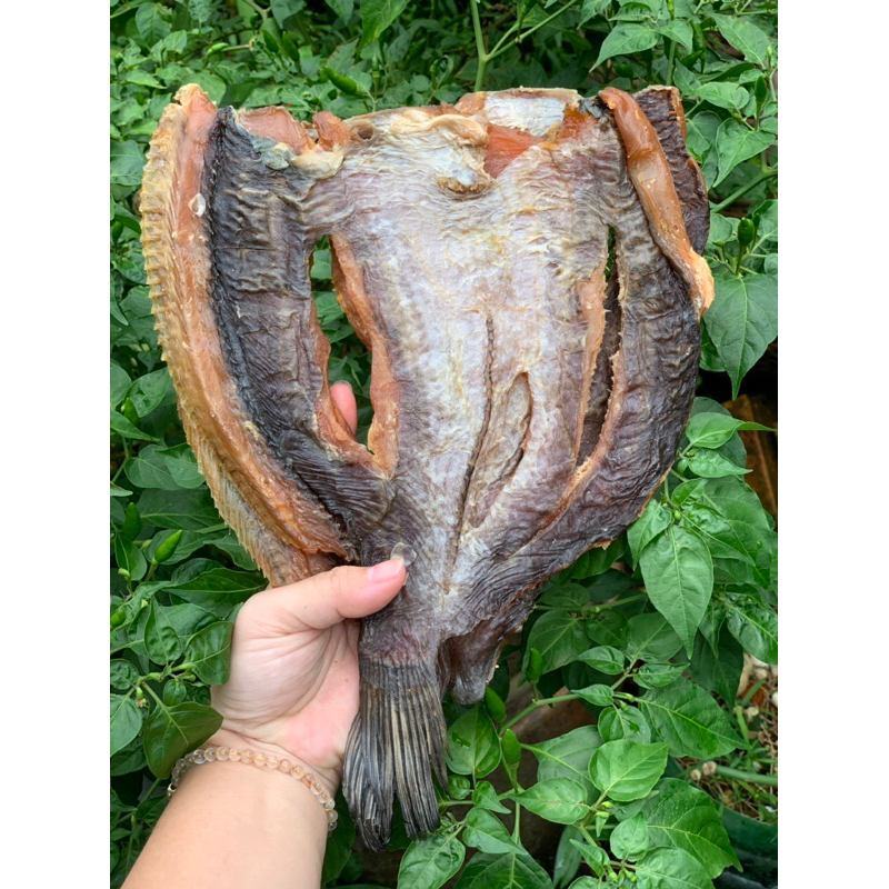 0,5kg khô cá lóc xẻ tẩm vị ươp tiêu sọ - Đặc sản Cà Mau