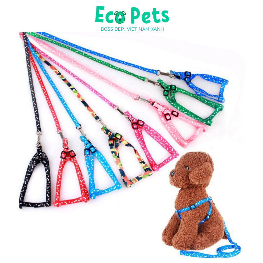 Phụ kiện chó mèo ECOPETS dây dắt thú cưng đi dạo đi chơi tiện lợi bền dễ sử dụng màu sắc đáng yêu dưới 5kg