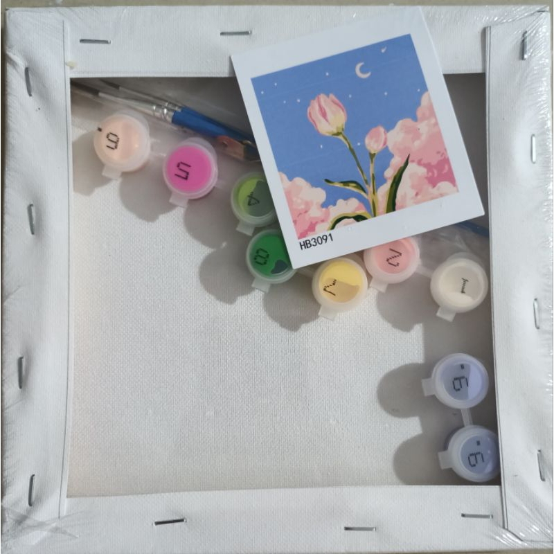 Tranh tô màu số hoá tô màu có khung,hoa hồng, cặp đôi, Doraemon, phong cảnh, gấu dâu 20*20cm