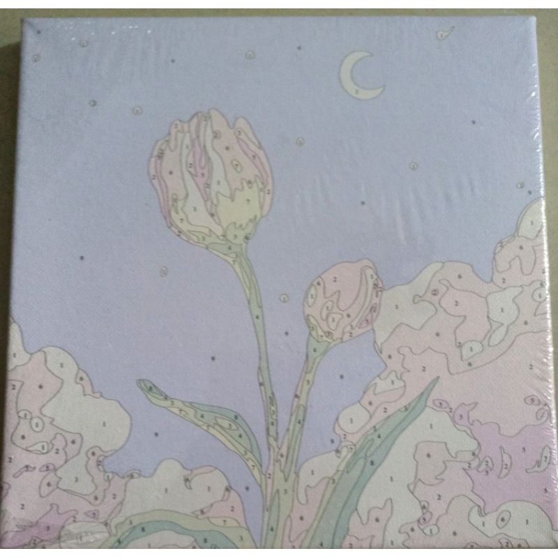 Tranh tô màu số hoá tô màu có khung,hoa hồng, cặp đôi, Doraemon, phong cảnh, gấu dâu 20*20cm