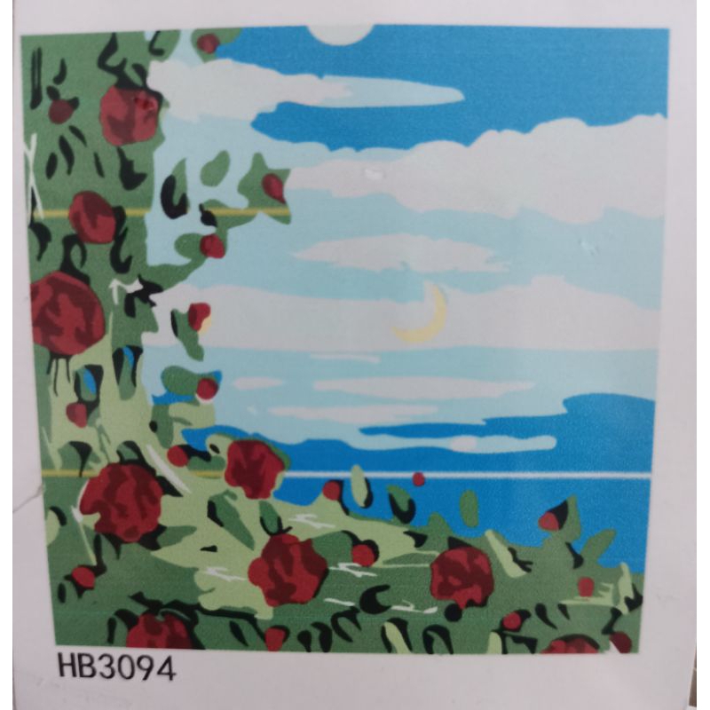 Tranh tô màu số hoá tô màu có khung,hoa hồng, cặp đôi, Doraemon, phong cảnh, gấu dâu 20*20cm