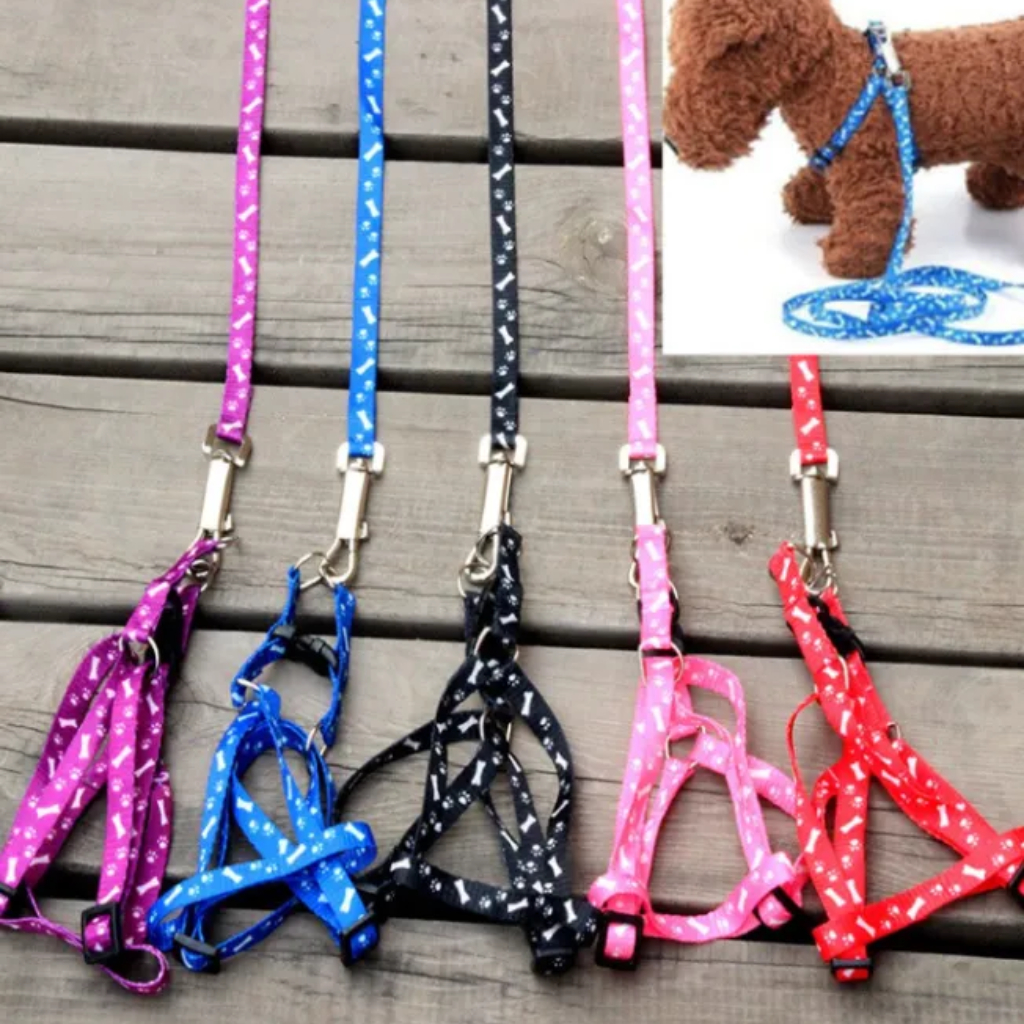 Dây dắt ECOPETS dắt chó mèo đi dạo nhiều màu sắc đáng yêu cho chó mèo xích cho thú cưng dưới 5kg 1x120cm