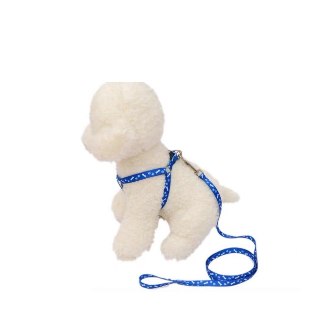 Dây dắt ECOPETS dắt chó mèo đi dạo nhiều màu sắc đáng yêu cho chó mèo xích cho thú cưng dưới 5kg 1x120cm
