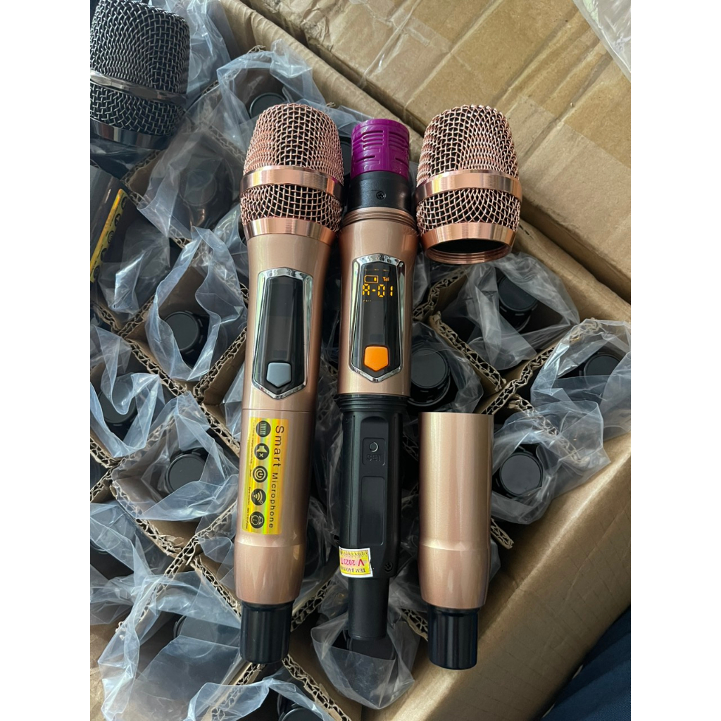 Micro Loa Kéo 2 Tay Micro Kèm Bo Mạch Mic -Hàng chuôi Nhôm Cao Cấp