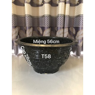 (3 Cái) Chậu Nhựa Truyền Thống T58 Trồng Cây Vân Đá Đen 56x28