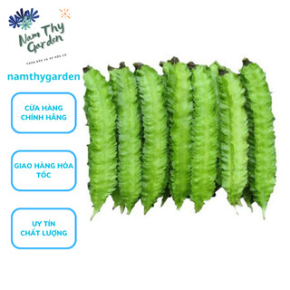 Hạt Giống Đậu Rồng gói 10gr, hạt giống đậu rồng Hóa Nông gói 10g, hat giong dau rong