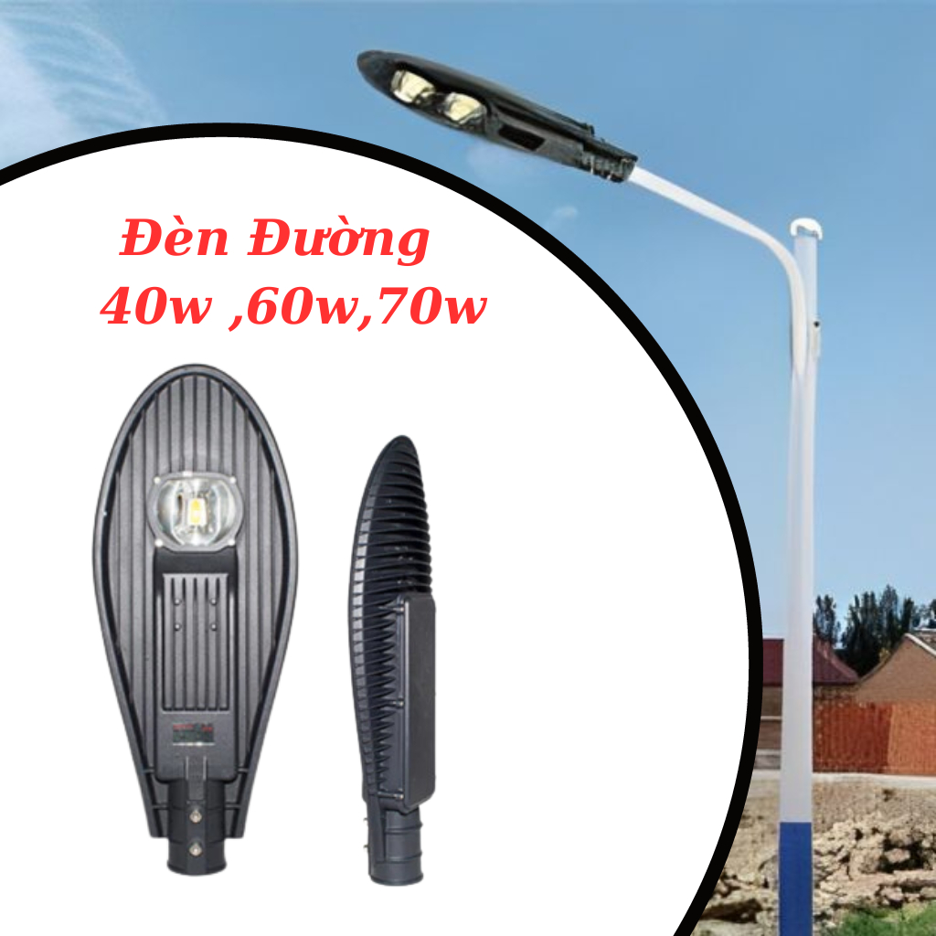 Đèn đường rạng đông , đèn đường lá rạng đông CsD02 40w ,60w , 70w rạng đông