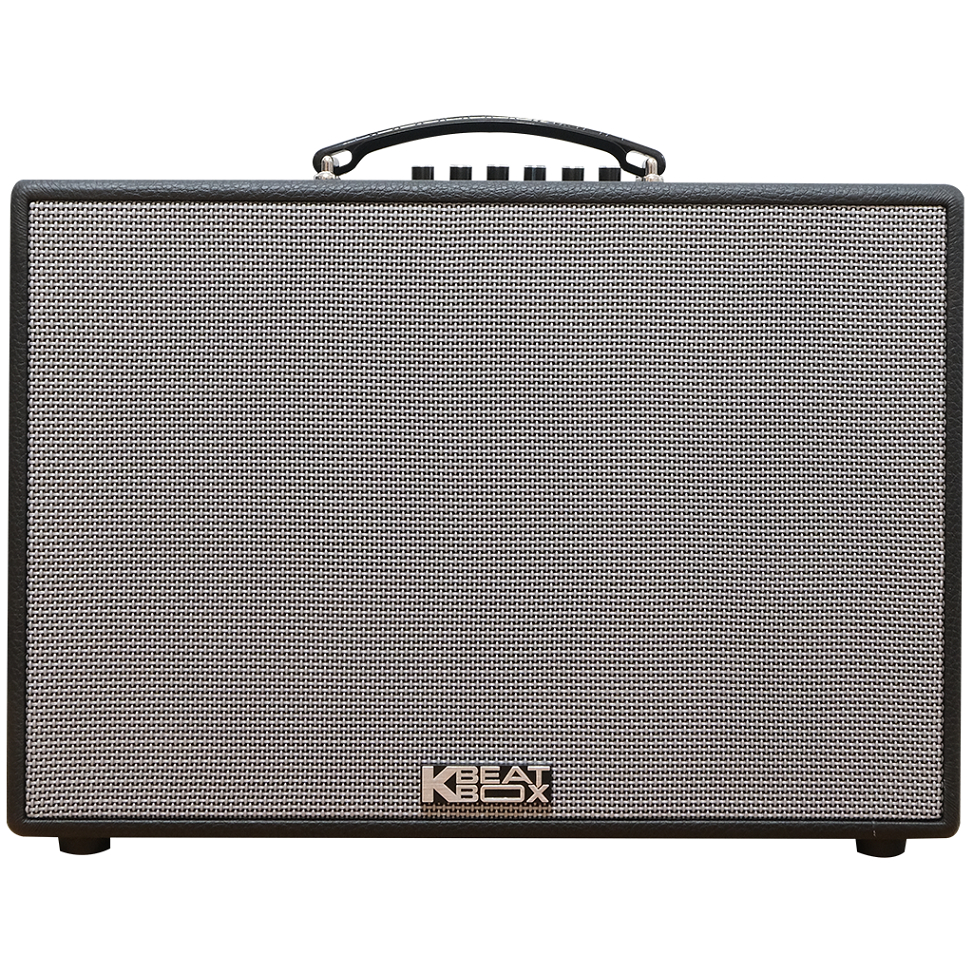 Dàn âm thanh di động xách tay ACNOS CS250PUW