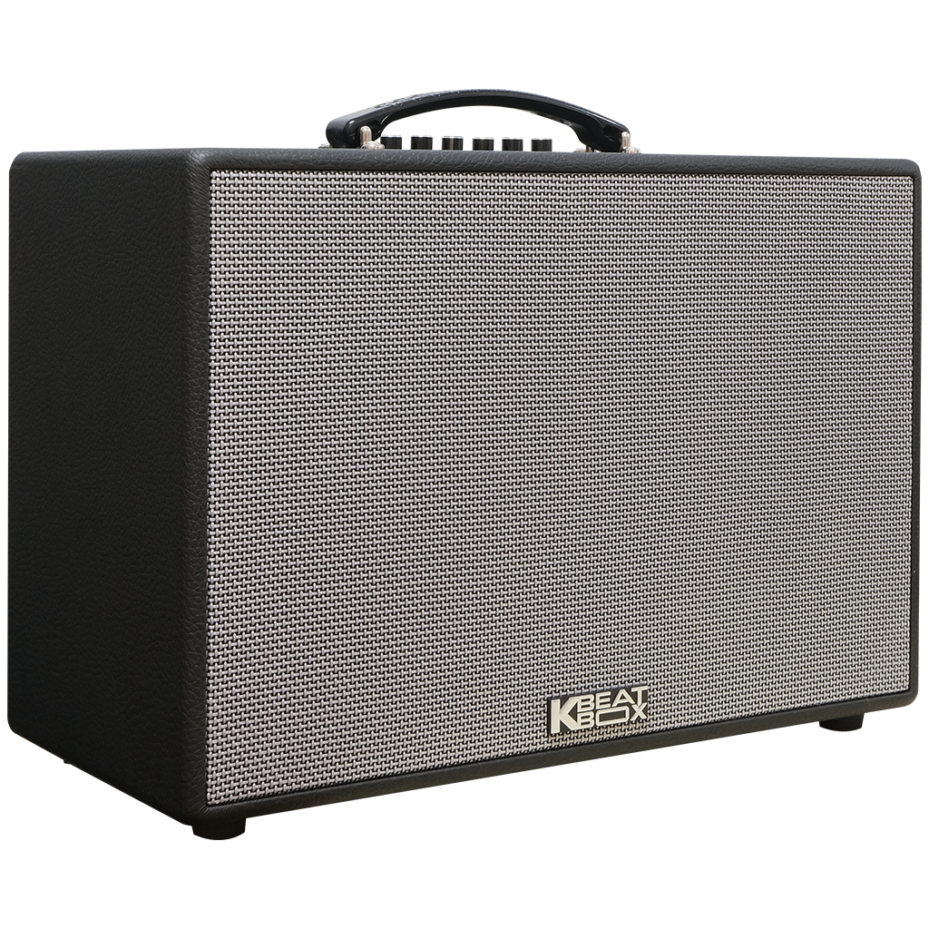 Dàn âm thanh di động xách tay ACNOS CS250PUW