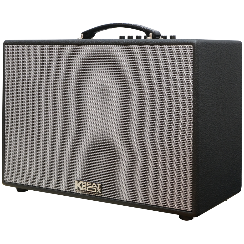 Dàn âm thanh di động xách tay ACNOS CS250PUW