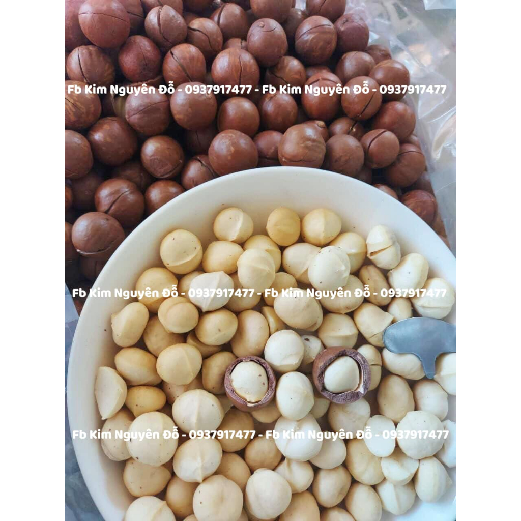 Hạt Macca hữu cơ Gia Lai - hạt bùi rất ngon