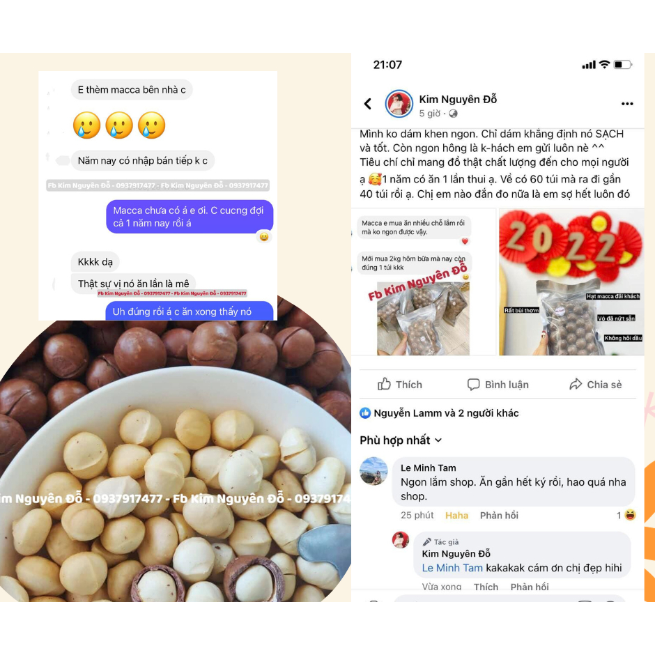 Hạt Macca hữu cơ Gia Lai - hạt bùi rất ngon