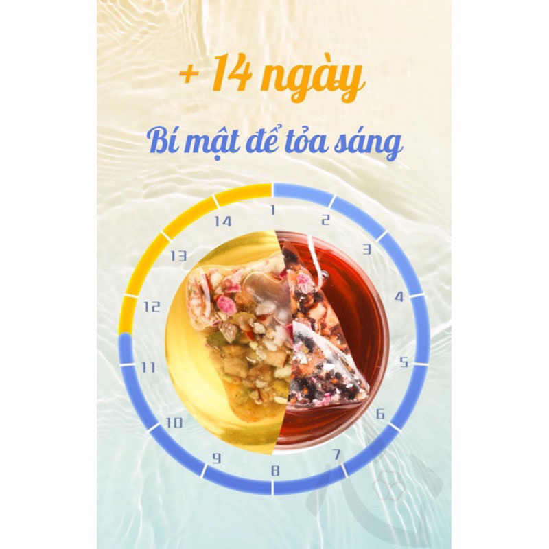 Set Trà "SÁNG C - TỐI A"  Giảm mỡ bụng nhanh gọn Da dẻ trắng sáng hãng Zaoyuan - Tảo Nguyên