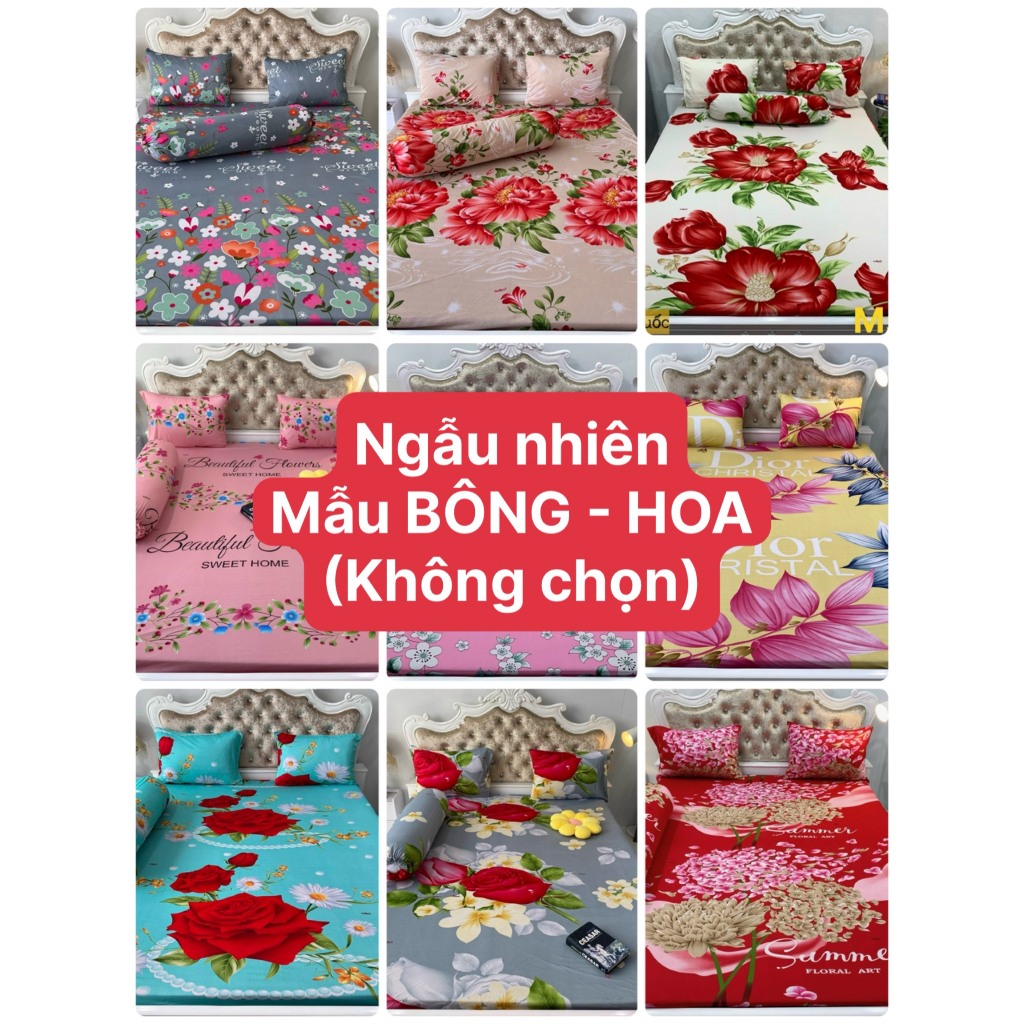 BỘ GA THUN HÀN QUỐC - MẪU NGẪU NHIÊN - KHÔNG CHỌN