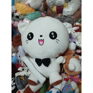 Gấu bông mèo mini size 40-50cm