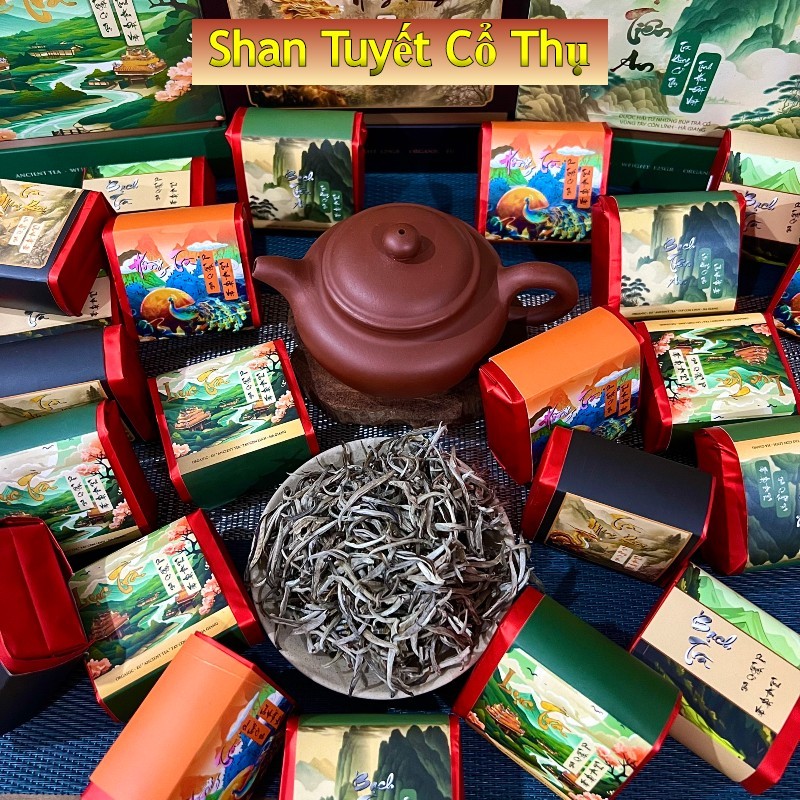 1 Gói Trà Rừng Shan Tuyết  Cổ Thụ 300 Tuổi Hà Giang Chè 5Gr Ngon Xanh Hữu Cơ Tự Nhiên Trà Đạo Quà Tặng