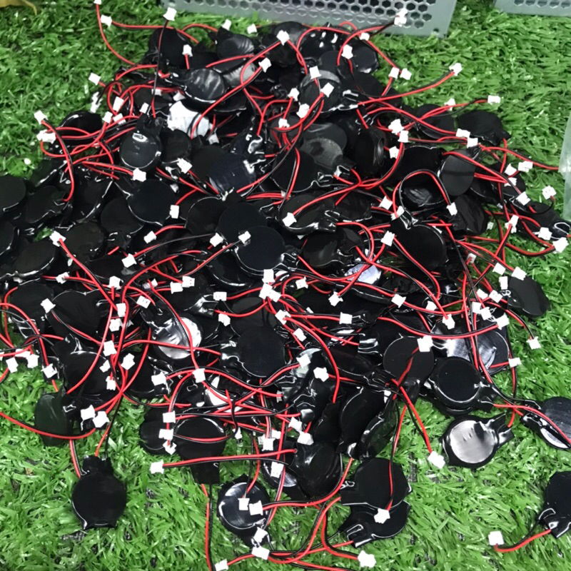 Pin Cmos máy tính có dây màu đen loại tốt 2 chân cắm