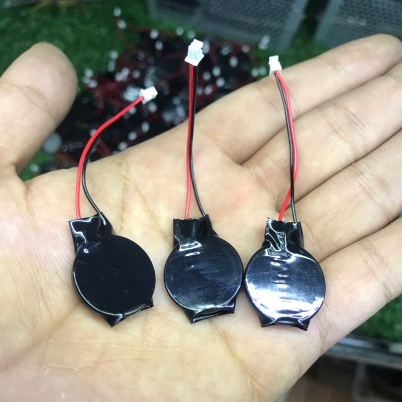 Pin Cmos máy tính có dây màu đen loại tốt 2 chân cắm