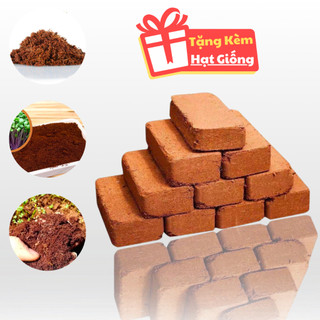  Đất trồng cây hữu cơ sơ dừa dạng viên dinh dưỡng tiệt trùng diệt khuẩn kháng bệnh tốt 