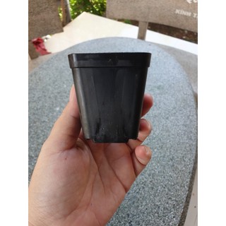 Chậu nhựa vuông đen 5x5 cm trồng sen đá, xương rồng