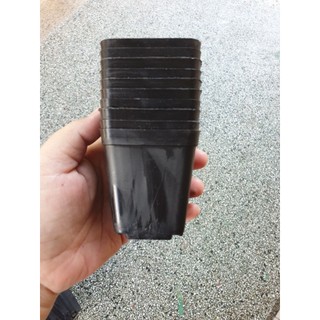Combo 10 chậu nhựa vuông đen 5x5 cm