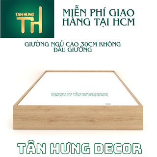 [FREESHIPHCM] GIƯỜNG NGỦ CAO 30CM KHÔNG ĐẦU GIƯỜNG DỄ DÀNG DI CHUYỂN THÁO LẮP