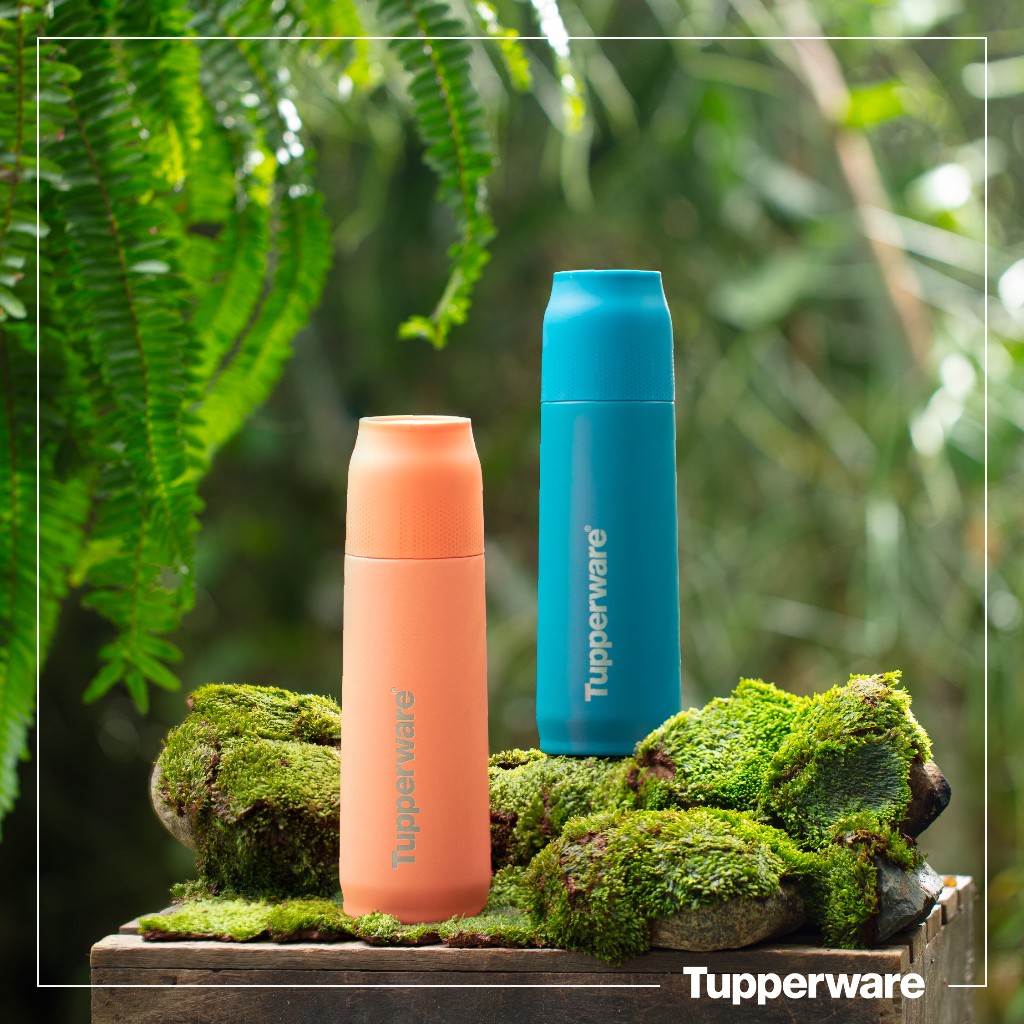 Bình Giữ Nhiệt Tupperware Tupp Buddy 520ml